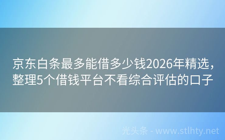 京东白条最多能借多少钱2026年精选，整理5个借钱平台不看综合评估的口子