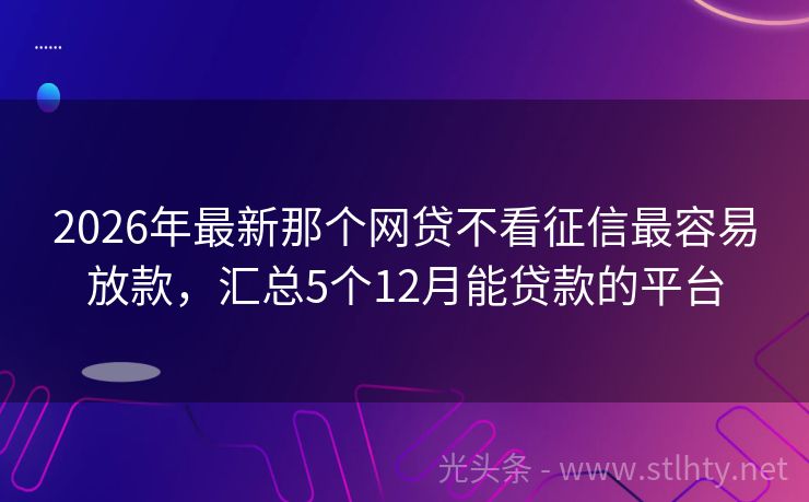 2026年最新那个网贷不看征信最容易放款，汇总5个12月能贷款的平台