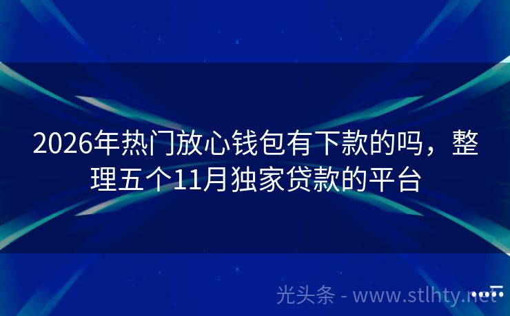 2026年热门放心钱包有下款的吗,整理五个11月独家贷款的平台
