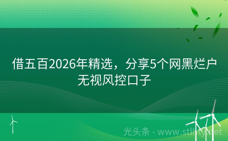 借五百2026年精选,分享5个网黑烂户无视风控口子