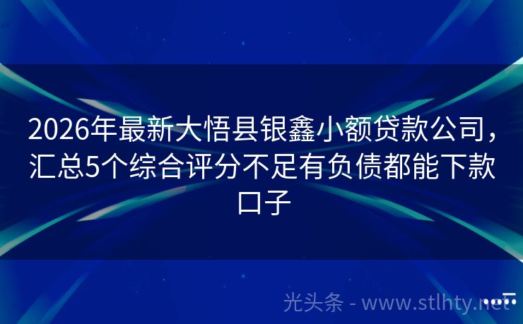 2026年最新大悟县银鑫小额贷款公司，汇总5个综合评分不足有负债都能下款口子