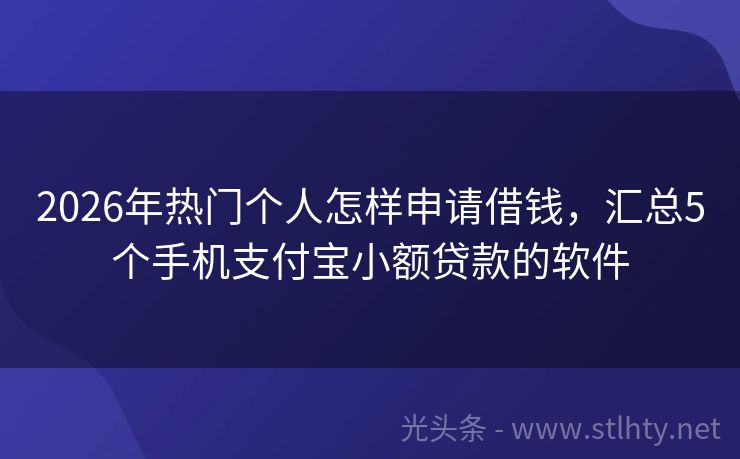 2026年热门个人怎样申请借钱，汇总5个手机支付宝小额贷款的软件