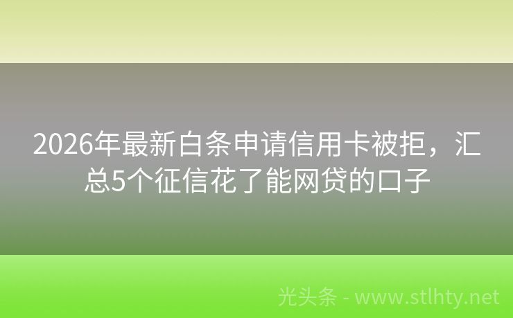 2026年最新白条申请信用卡被拒，汇总5个征信花了能网贷的口子
