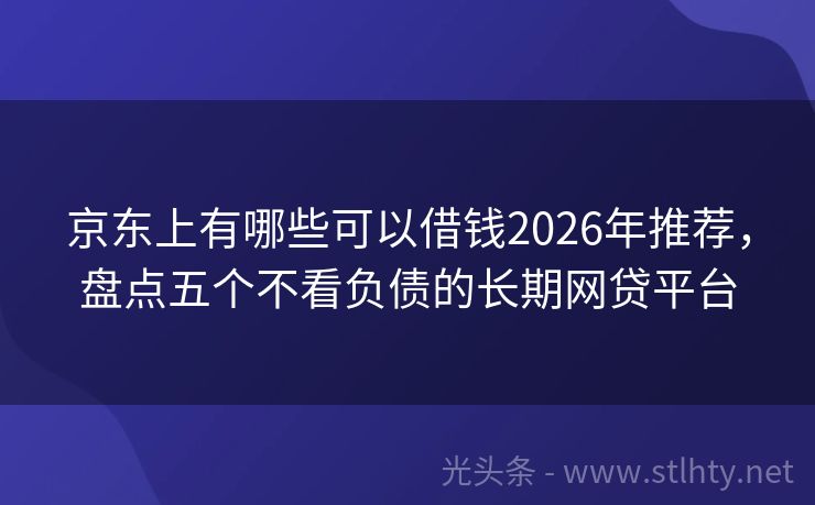 京东上有哪些可以借钱2026年推荐,盘点五个不看负债的长期网贷平台