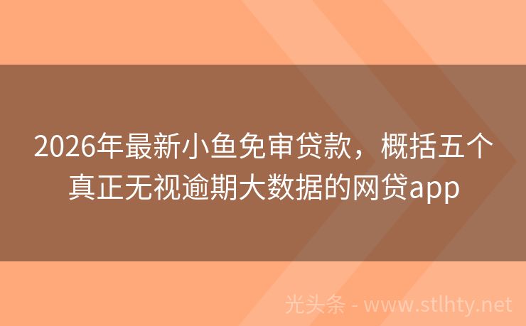 2026年最新小鱼免审贷款,概括五个真正无视逾期大数据的网贷app