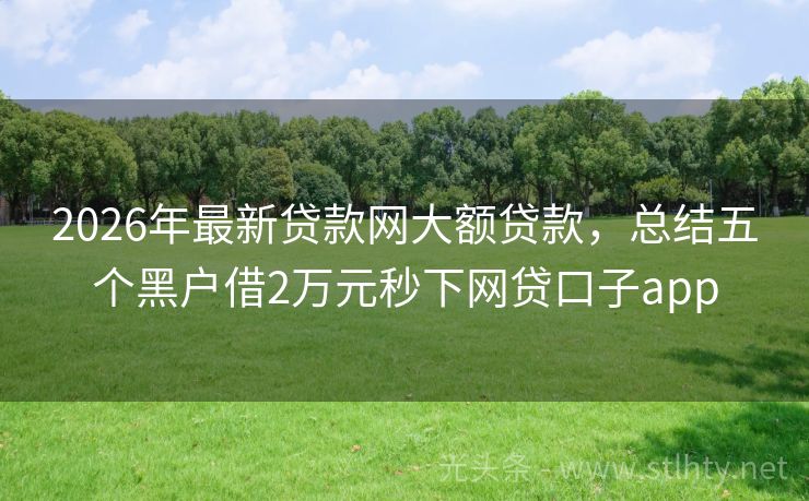 2026年最新贷款网大额贷款,总结五个黑户借2万元秒下网贷口子app