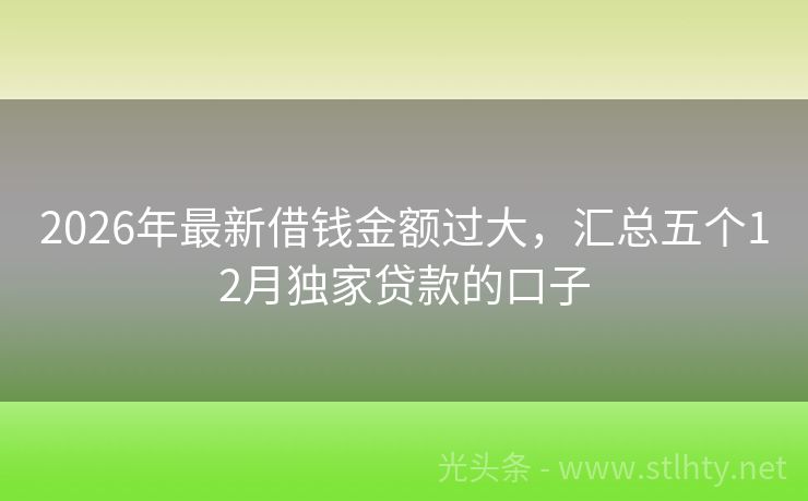 2026年最新借钱金额过大，汇总五个12月独家贷款的口子