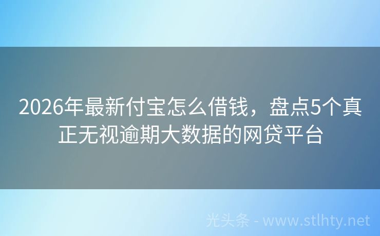 2026年最新付宝怎么借钱，盘点5个真正无视逾期大数据的网贷平台