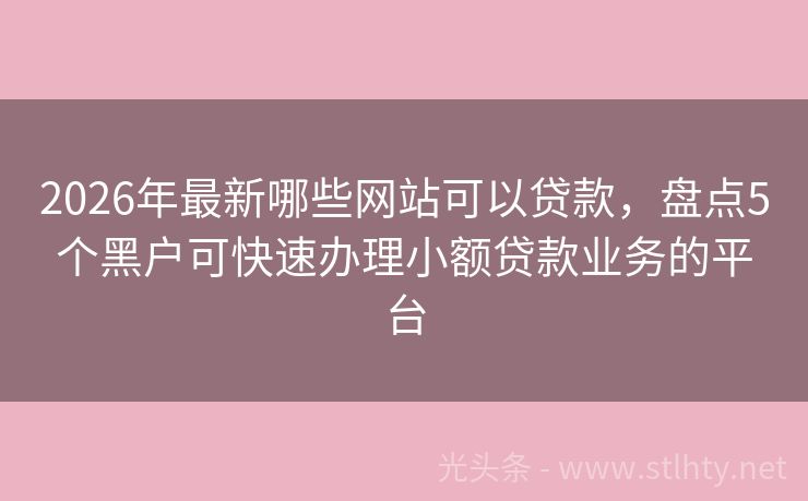 2026年最新哪些网站可以贷款,盘点5个黑户可快速办理小额贷款业务的平台