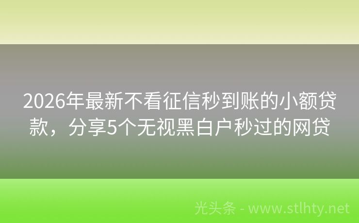 2026年最新不看征信秒到账的小额贷款，分享5个无视黑白户秒过的网贷