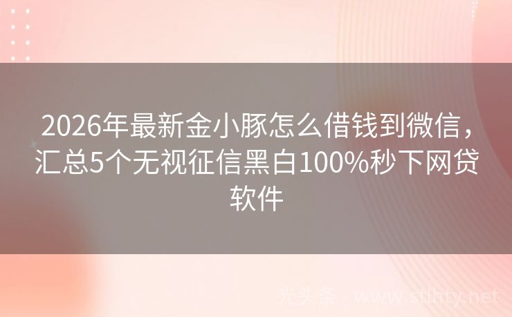 2026年最新金小豚怎么借钱到微信，汇总5个无视征信黑白100%秒下网贷软件