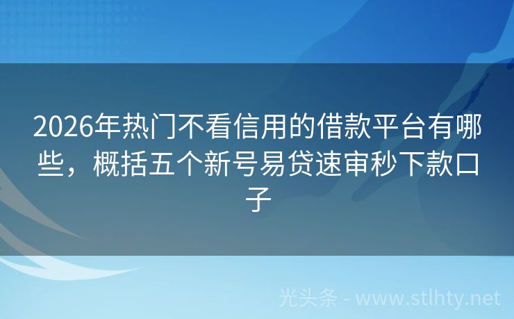 2026年热门不看信用的借款平台有哪些，概括五个新号易贷速审秒下款口子