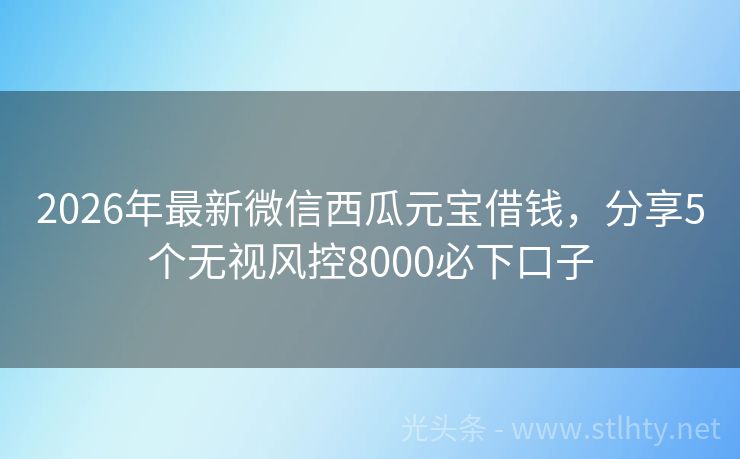 2026年最新微信西瓜元宝借钱，分享5个无视风控8000必下口子