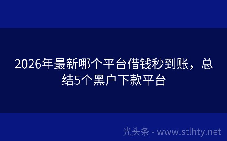 2026年最新哪个平台借钱秒到账，总结5个黑户下款平台