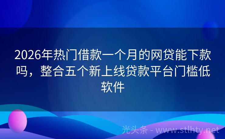 2026年热门借款一个月的网贷能下款吗，整合五个新上线贷款平台门槛低软件