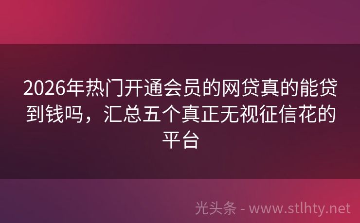 2026年热门开通会员的网贷真的能贷到钱吗，汇总五个真正无视征信花的平台