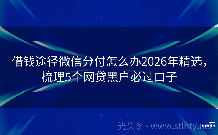 借钱途径微信分付怎么办2026年精选，梳理5个网贷黑户必过口子