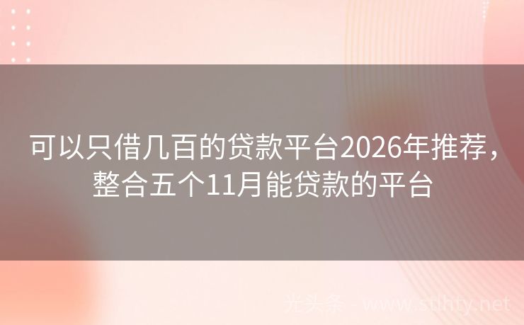 可以只借几百的贷款平台2026年推荐，整合五个11月能贷款的平台