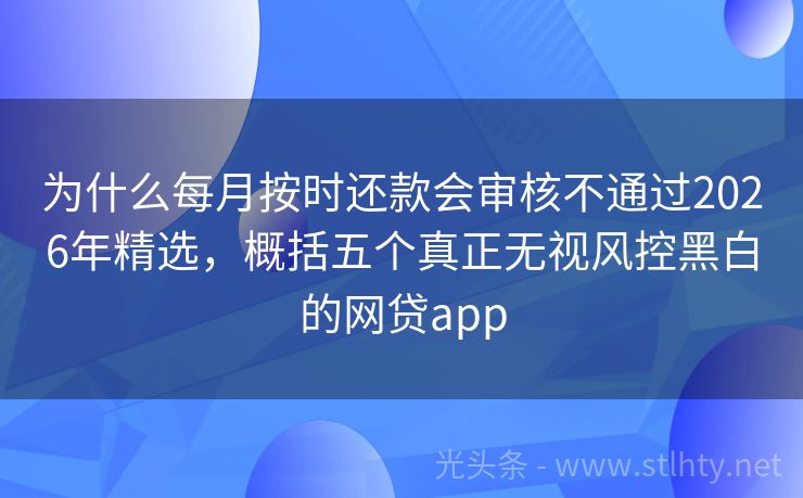 为什么每月按时还款会审核不通过2026年精选，概括五个真正无视风控黑白的网贷app