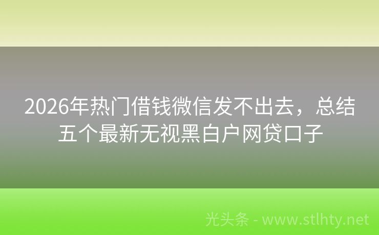2026年热门借钱微信发不出去,总结五个最新无视黑白户网贷口子