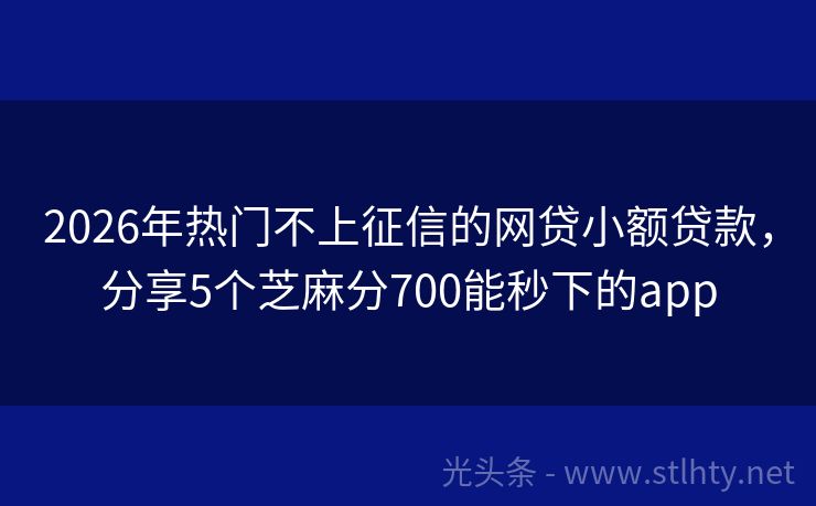 2026年热门不上征信的网贷小额贷款，分享5个芝麻分700能秒下的app