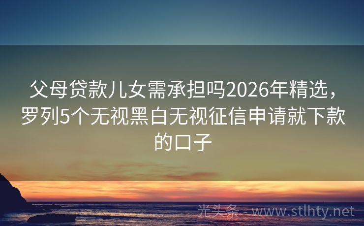 父母贷款儿女需承担吗2026年精选，罗列5个无视黑白无视征信申请就下款的口子