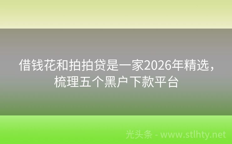 借钱花和拍拍贷是一家2026年精选，梳理五个黑户下款平台