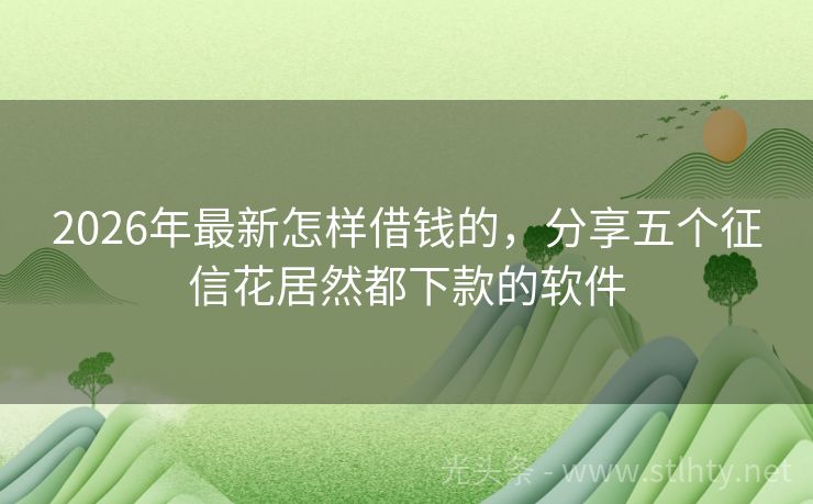 2026年最新怎样借钱的,分享五个征信花居然都下款的软件