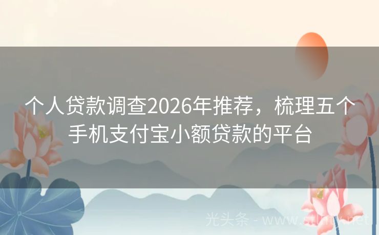 个人贷款调查2026年推荐，梳理五个手机支付宝小额贷款的平台