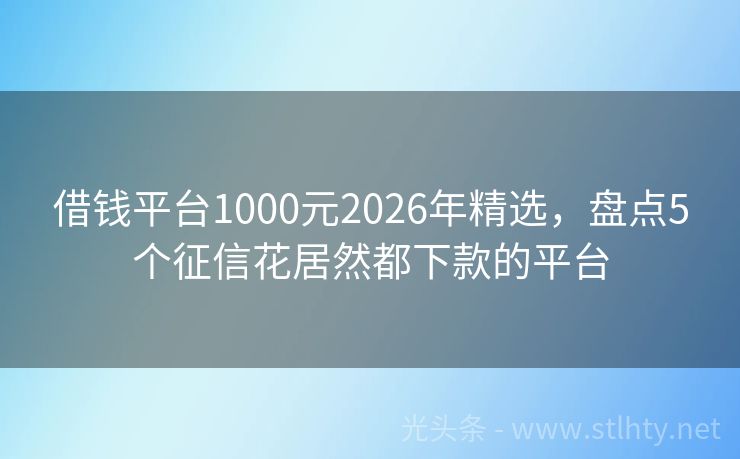 借钱平台1000元2026年精选，盘点5个征信花居然都下款的平台