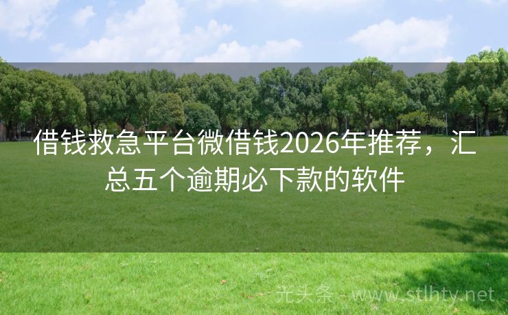 借钱救急平台微借钱2026年推荐，汇总五个逾期必下款的软件