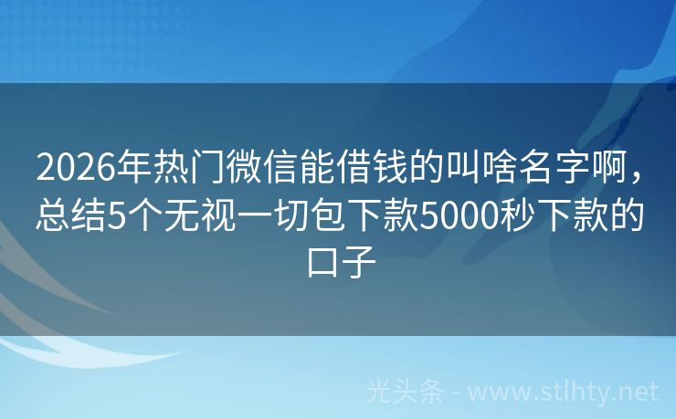 2026年热门微信能借钱的叫啥名字啊，总结5个无视一切包下款5000秒下款的口子