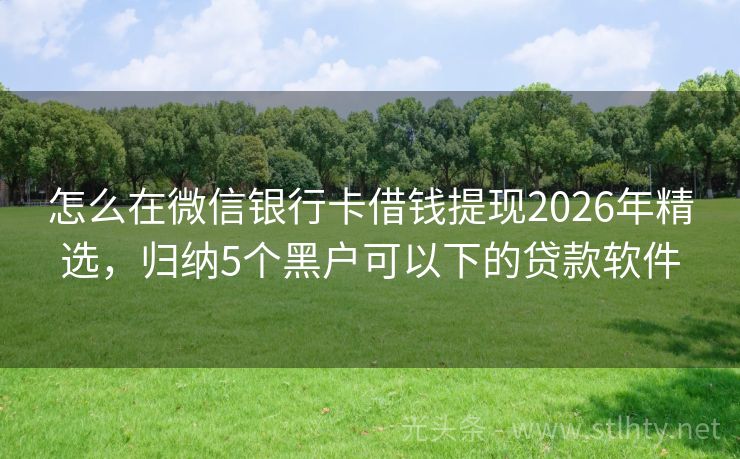 怎么在微信银行卡借钱提现2026年精选，归纳5个黑户可以下的贷款软件