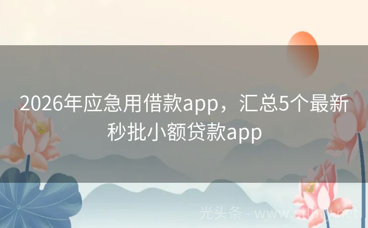 2026年应急用借款app,汇总5个最新秒批小额贷款app