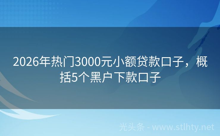 2026年热门3000元小额贷款口子,概括5个黑户下款口子