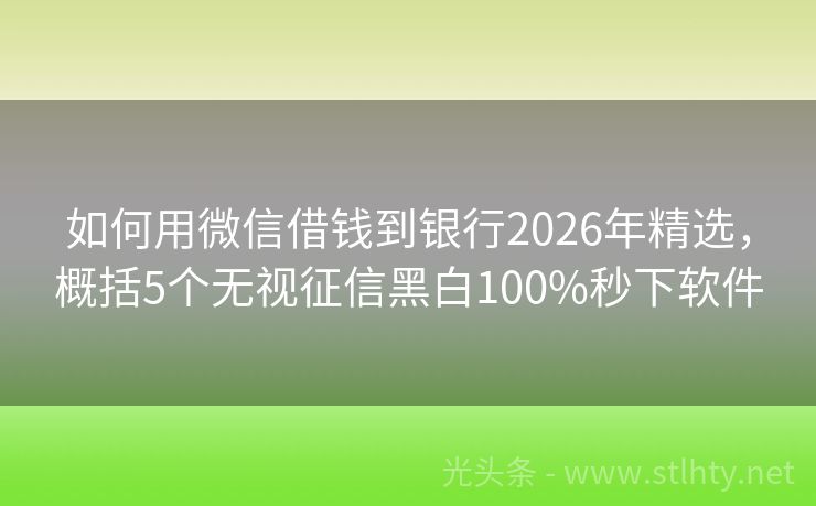 如何用微信借钱到银行2026年精选,概括5个无视征信黑白100%秒下软件