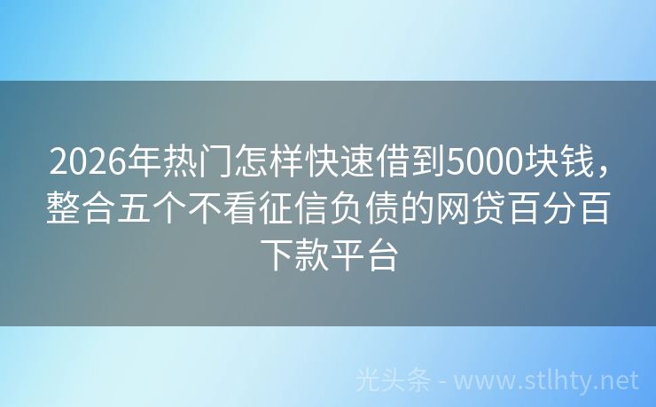 2026年热门怎样快速借到5000块钱，整合五个不看征信负债的网贷百分百下款平台