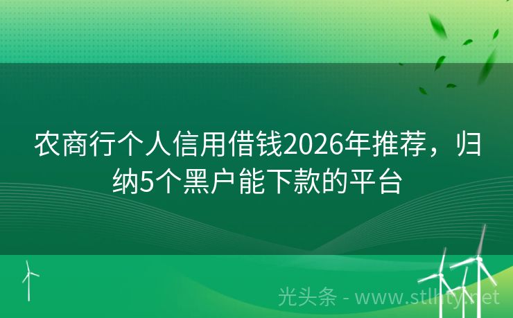 农商行个人信用借钱2026年推荐,归纳5个黑户能下款的平台