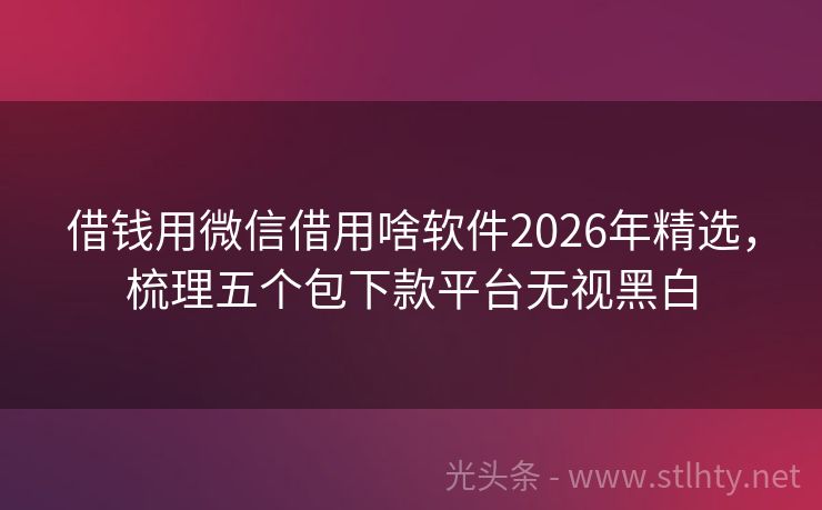 借钱用微信借用啥软件2026年精选,梳理五个包下款平台无视黑白