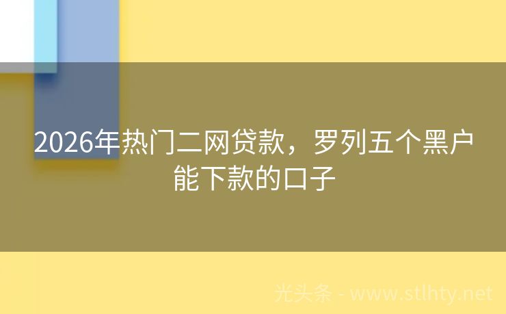 2026年热门二网贷款，罗列五个黑户能下款的口子