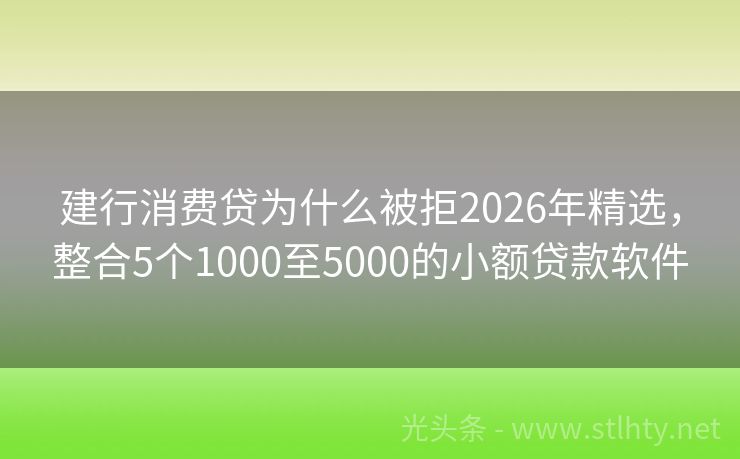 建行消费贷为什么被拒2026年精选，整合5个1000至5000的小额贷款软件