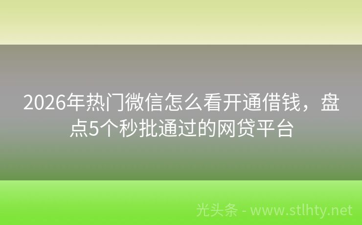 2026年热门微信怎么看开通借钱，盘点5个秒批通过的网贷平台