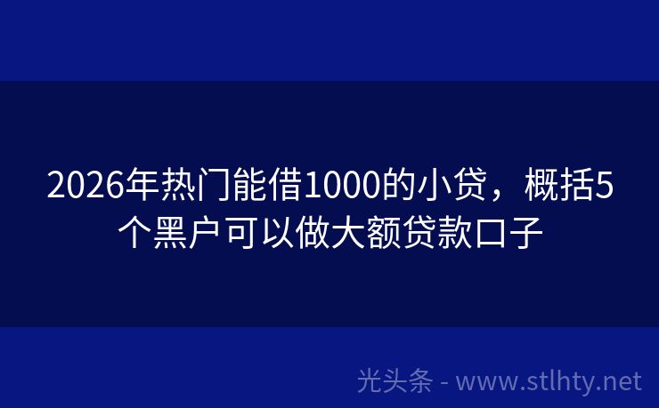 2026年热门能借1000的小贷，概括5个黑户可以做大额贷款口子
