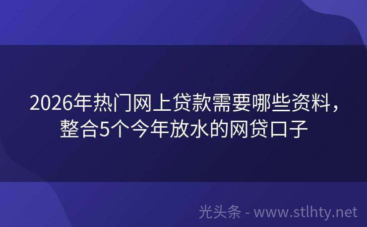2026年热门网上贷款需要哪些资料，整合5个今年放水的网贷口子