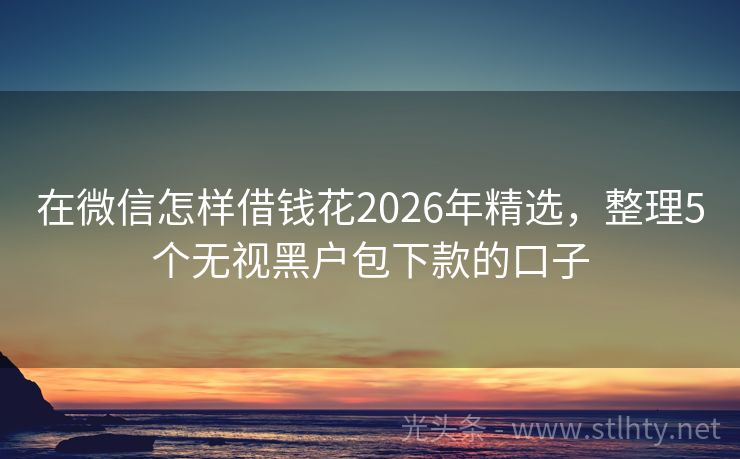 在微信怎样借钱花2026年精选，整理5个无视黑户包下款的口子