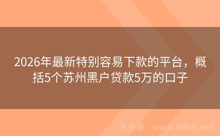 2026年最新特别容易下款的平台，概括5个苏州黑户贷款5万的口子