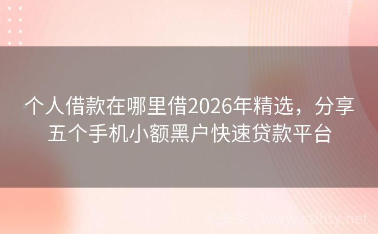 个人借款在哪里借2026年精选,分享五个手机小额黑户快速贷款平台