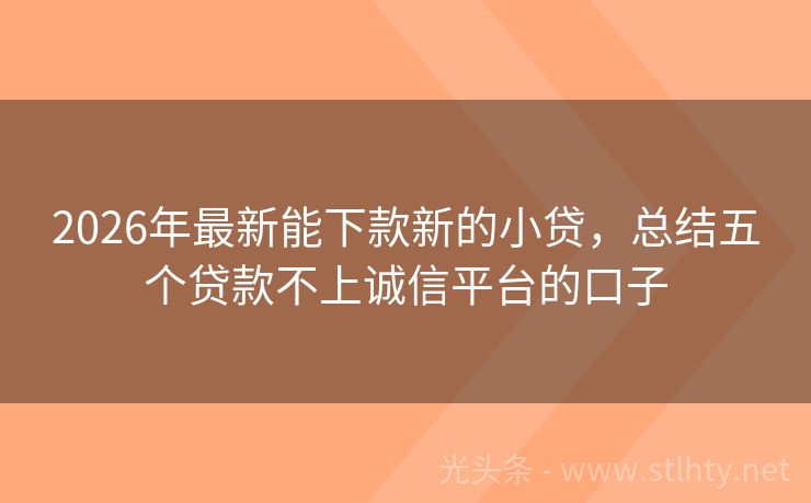 2026年最新能下款新的小贷，总结五个贷款不上诚信平台的口子