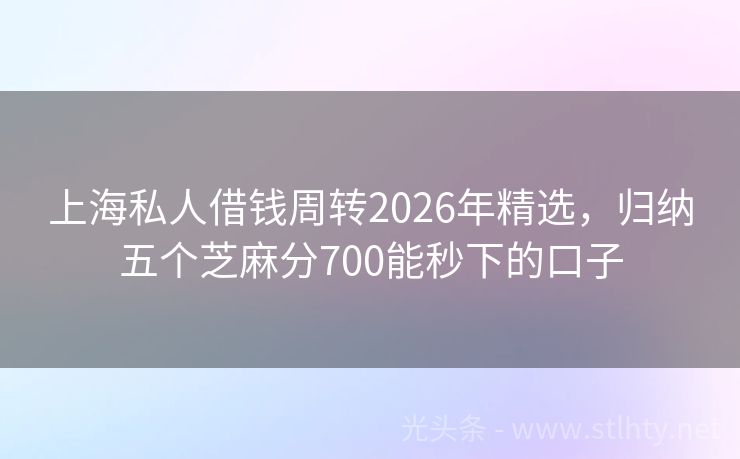 上海私人借钱周转2026年精选，归纳五个芝麻分700能秒下的口子