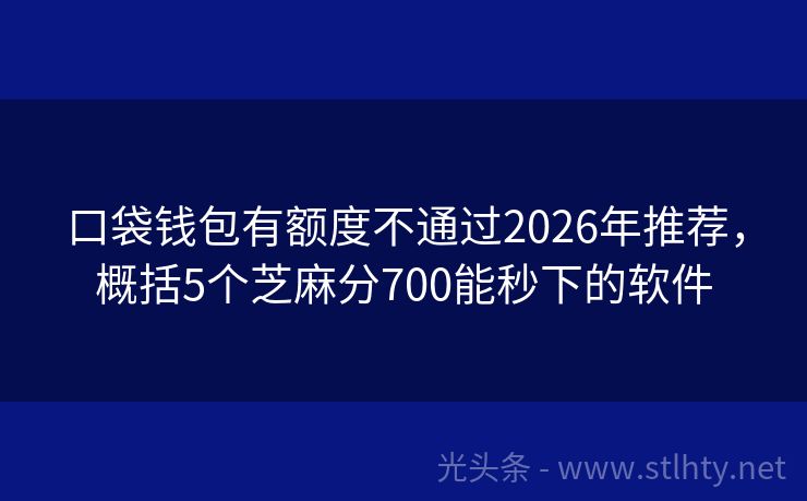 口袋钱包有额度不通过2026年推荐,概括5个芝麻分700能秒下的软件